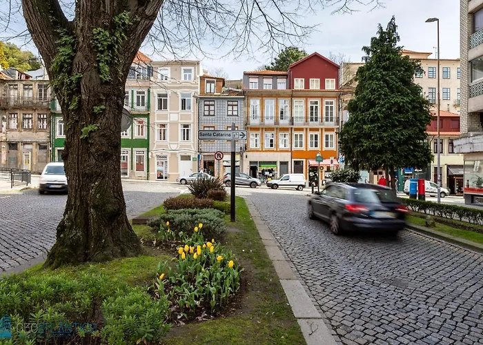 Garden - Santa Catarina Apartment Porto
